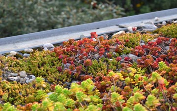 the cost of Goathurst Common green roof installation