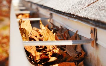 Goathurst Common gutter cleaning companies