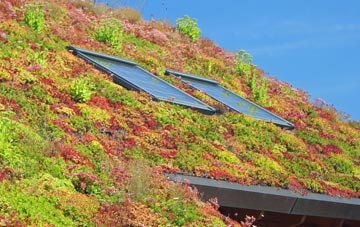Goathurst Common living roof systems