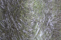 Goathurst Common fibreglass roof work